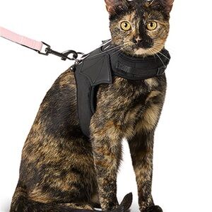 Bat Wing Cat Harness